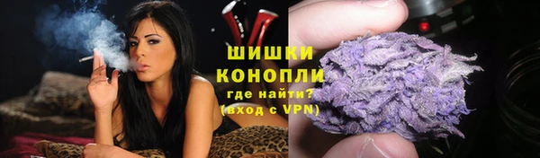 PSILOCYBIN Белоозёрский