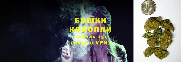 PSILOCYBIN Белоозёрский