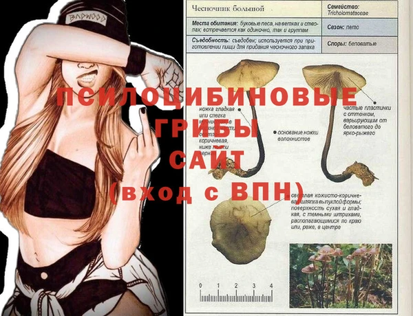 PSILOCYBIN Белоозёрский