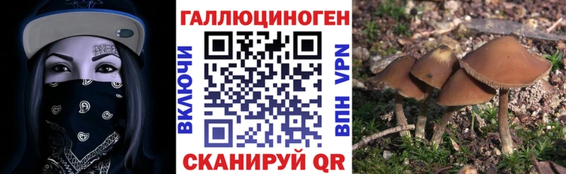 МЕГА зеркало  сколько стоит  Бутурлиновка  Псилоцибиновые грибы ЛСД 